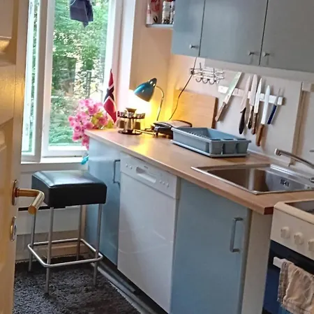 Single And Cozy * Oslo